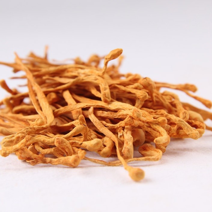 Dried cordyceps mushroom.jpg